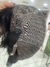 Imagem do Lace cabelo humano