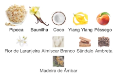 PURE XS MINI ORIGINAL 6 ML na internet