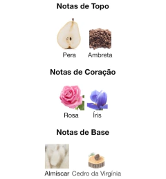 IRRESISTIBLE MINI ORIGINAL 8 ML na internet