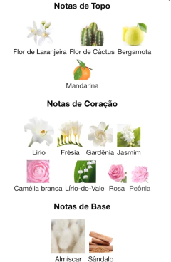 212 NYC F MINI ORIGINAL 5 ML na internet