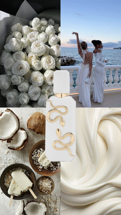 VENENO BIANCO FRENCH AVENUE FRACIONADO - Perfumes da Patroa