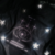 CAMISA MIKROKOSMOS