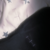 CAMISA MIKROKOSMOS - Wear Yourself