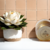 Máscara real- Mascarilla facial miel - comprar en línea