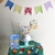 TEMA FESTA JUNINA - comprar online