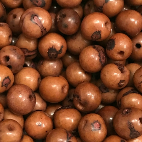 COD 9413 - Semente de Açaí 10mm Marrom - 25 Unidades