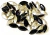 COD 3941 - Chaton Base Côncava 7x15 Navete - 2Unidades