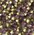 COD 7336 - Pedras de Strass SS10/PP21 Amethyst - 30 Unidades