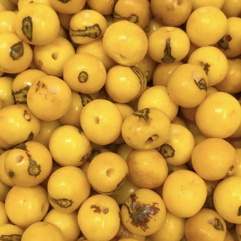 COD 8523 - Semente de Açaí 10mm Amarelo - 25 Unidades