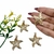 COD 9882 - Pingente Estrela do Mar 3.5x4.0cm - Unidade na internet