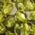 COD 3838 - Chaton Para Colagem 10x14 Base Reta OVAL - 10 Unidades - comprar online