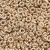 COD 6997 - Abs Florzinha 6mm Dourado - 10 Gramas