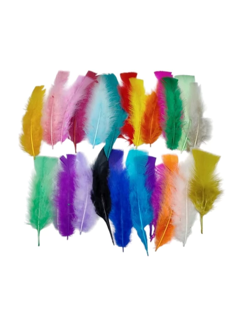 COD 2568 - Penas Coloridas 8cm - 12 Unidades