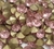 COD 6654 - Pedra de Strass SS22 Rose - 10 Unidades