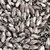 COD 9765 - Abs Arroz 4x8mm Prateado - 10 Gramas
