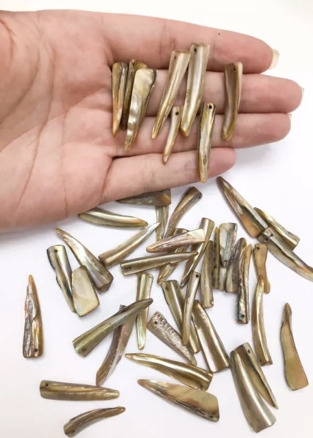 COD 8716 - Dente de Madrepérola C/Furo - 5 unidades