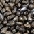 COD 3072 - Gota de Cristal 8x12 Preto Irizado - 4 Unidades