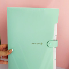 Carpeta Pastelito 5 divisiones en internet