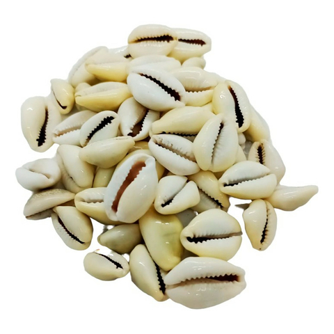 Búzios Gema 150g - comprar online
