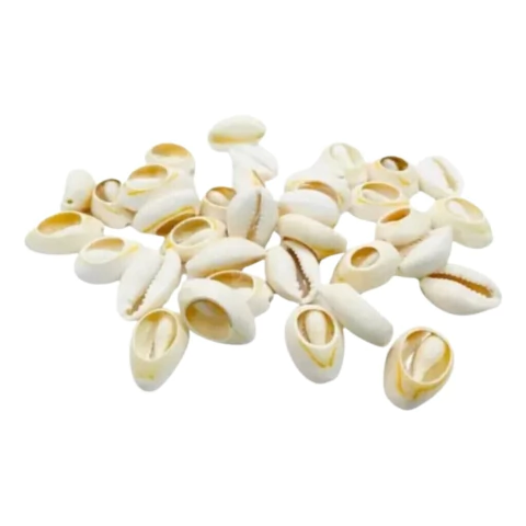 Búzios Natural Cortado Claro - 500 Gramas