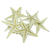 Estrela Do Mar Média - Unidade na internet