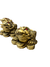 Sapo Resina - comprar online