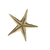 Estrela Do Mar Média - Unidade - comprar online