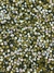Pedraria de Unha, Strass Metal Sextavado Branco AB 4mm - 50pcs - comprar online