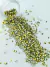 Pedraria de Unha, Gota Chapinha Dourado 2mm - 100pcs - comprar online