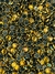 Pedraria de Unha, Olho de Gato, Dourado AB 4mm - 20pcs - comprar online