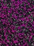Pedraria de Unha, Strass Pink Metálico 3mm – 100pcs - comprar online