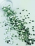 Pedraria de Unha, Coração Verde Claro 3mm - 50pcs - comprar online