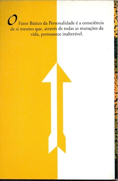 A Personalidade - Eser Girotto - comprar online