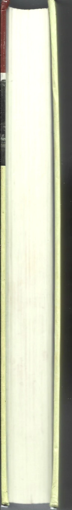 Dom Casmurro - Machado de Assis na internet