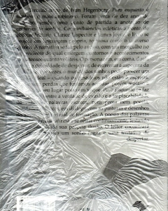 Puro Enquanto - Ivan Hegenberg - comprar online