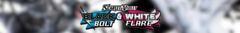 Banner de la categoría PKMN TCG: Black Bolt and White Flare