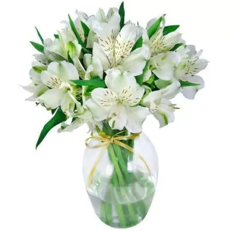 Vasinho de astromelias - consulte cores disponíveis