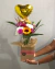 Flores no vaso +balão P laminado