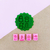 Set Botanico - (copia) on internet