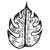 Monstera Ilustrada