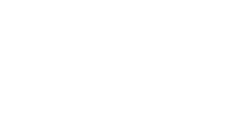 Srta. Executiva