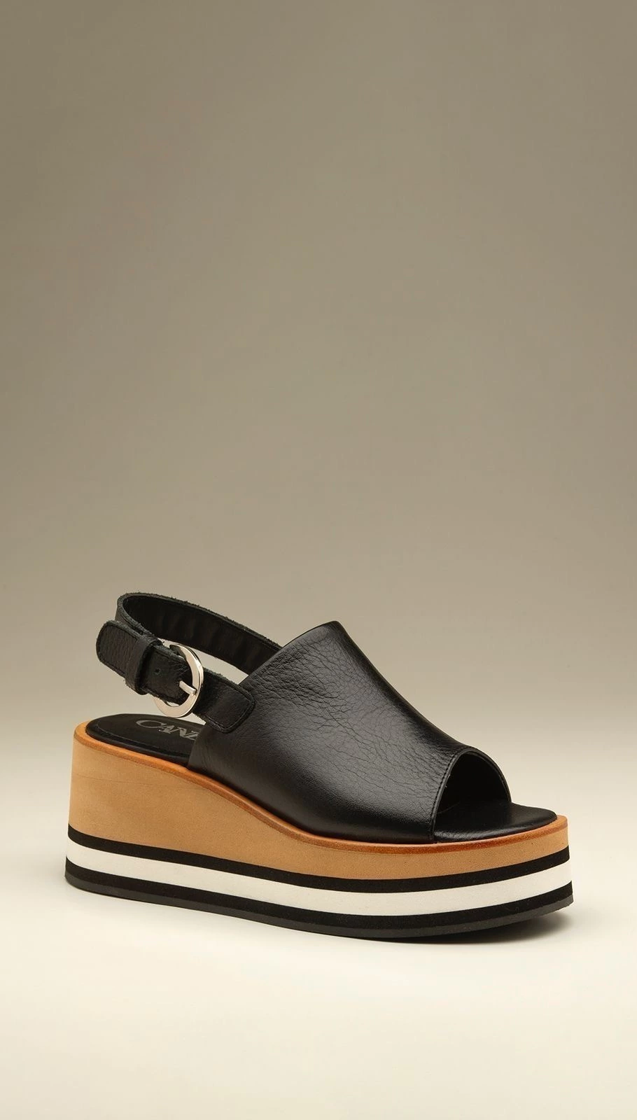 ART. 71 CANE