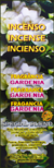 Gardênia