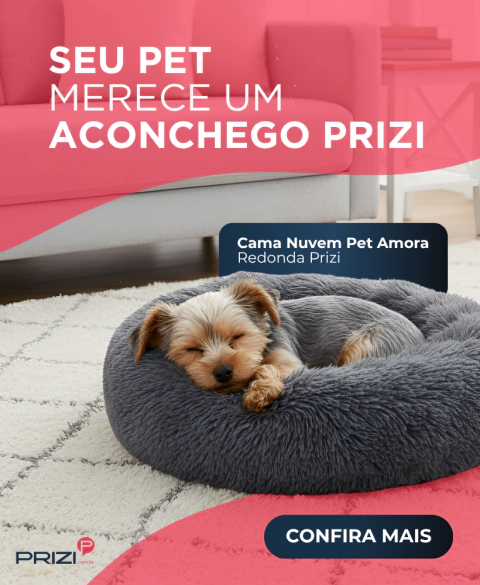 Carrossel 1