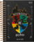 Agenda Diária Harry Potter 2025 Jandaia - comprar online