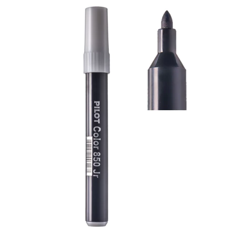 Caneta Hidrográfica Color 850 Jr. Unidade Pilot - Femapel