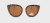 POL MOD NEW 318 - SUNGLASS