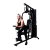 Imagem do Estação de Musculação FT9000 Evolution Fitness