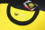 Borussia Dortmund 23/24 en internet