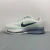 Nike Pegasus Premium